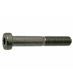 7984-10X 80   TORNILLO 8.8(*)