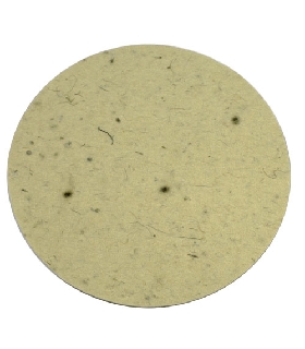 Disco Fieltro 200 DISCO FIELTRO 200 PFERD