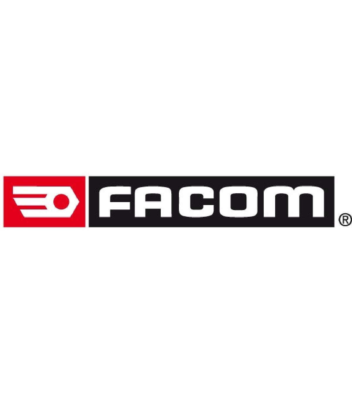 4 mm Facom 249.4 Botapasadores estándar 